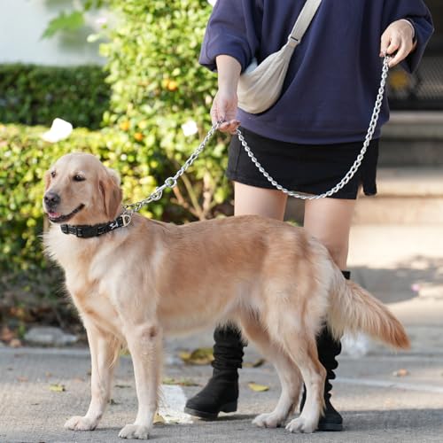 PETTOM Hundeleine Stark Metall Kettenleine, Übungsleine mit PU Leder und Gepolstertem Nylon-Griff, Trainingsleine Für Kleine Mittlere und Große Hunde (L: 0.4cm*180cm) Silber