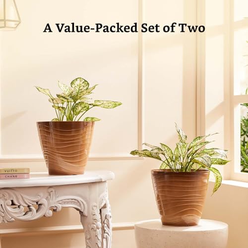 Image of Amazon Brand- Solimo Indoor and Outdoor Round 10 Inch Muscat Flower Planter Pot Best for Terrace /Balcony /Home /Office Decor - Set of 2