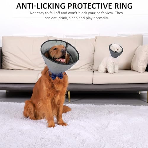 1 collare grigio per animali domestici con 1