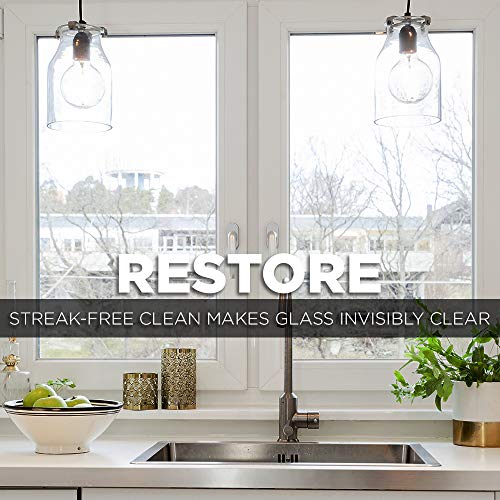 image for Weiman Glass Cleaner - 19 Ounce (2 Pack) - Non-Toxic Professional Stre
