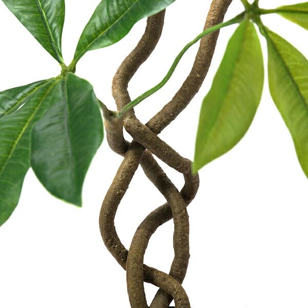 Amazon｜ツイストパキラ オベリスポット H95cm 観葉植物 フェイク