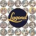 Lygond Metal Sign Great Dane Book Enthusiast Tin Sign A Gentle Giant's Read for Home Decor Great Dane Fan and Reading Nooks Easy to Install Durable Aluminum Funny Gardening Gift for Garden 8×8 Inches