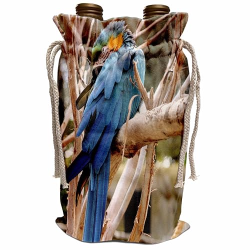 Wine Bag - Blue and gold macaw sitting in a tree Designs - Animal