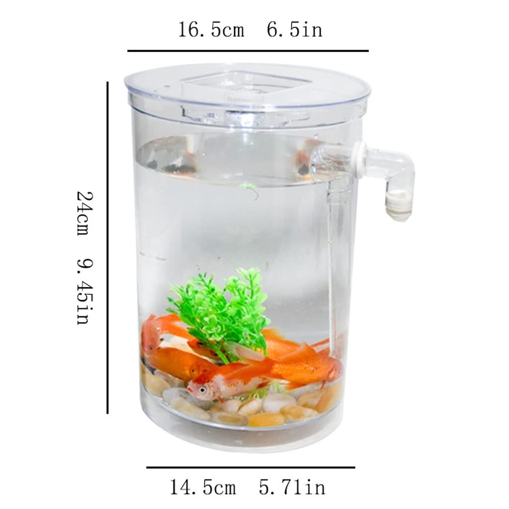 Amazon.com: RENEESME Fish Tabk Creative Desktop Transparent Resin