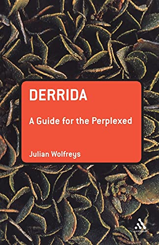 Derrida: A Guide for the Perplexed view 2