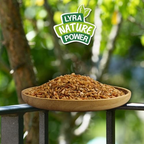 Lyra Pet® 1 kg Shrimps getrocknet | Sonnengetrocknete Garnelen als Tierfutter | Reich an Proteinen & Omega-3-Fettsäuren | Natürliches, artgerechtes Futter für Fische, Vögel, Hunde, Katzen & Reptilien