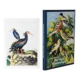  Vorzugsausgabe: Johann Friedrich Naumann – Die Vögel Mitteleuropas: Naturgeschichte der Vögel. Vorzugsausgabe mit Fine Art Print \