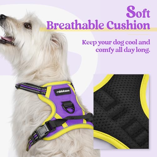 Image of rabbitgoo Dog Harness No Pull with 2 Leash Clips, Adjustable Soft Padded, Reflective Oxford No Choke Pet Vest with Easy Control Handle for Puppy, Purple & Yellow, XS