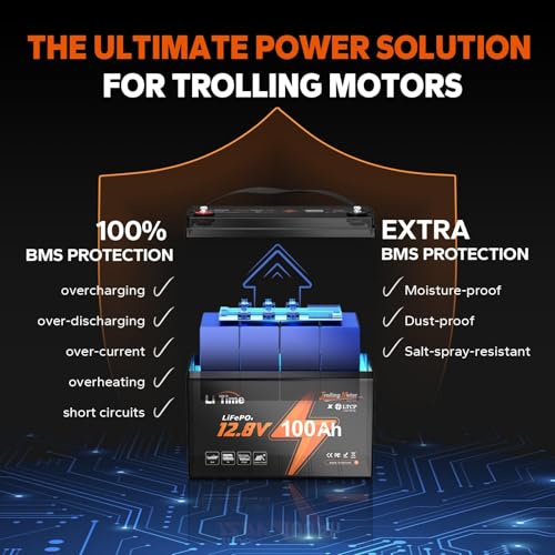 Image of Litime 12V 100Ah LiFePO4 Battery for RV, Trolling Motors, Marine(2 Pack)