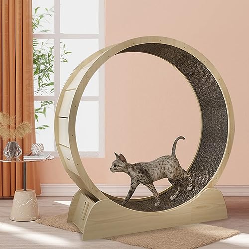 Cat Wheel Cat Exercise Wheel Inner Diameter Is39in Easy Assembled Cat Wheels for Indoor Cats with Locking Mechanism Cat Treadmill for All Cats