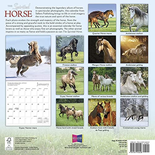 The Spirited Horse 2023 Wall Calendar, 16-Month Animal Calendar, 12" X 12" #TOP1
