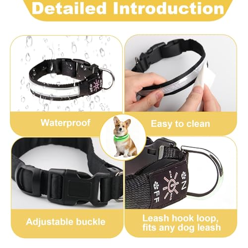 Light Up Dog Collar,Rechargeable USB-C Flashing LED Dog Collar Adjustable with 7 Lighting Modes for Medium Pets Reflective Strip Waterproof Glow in The Dark for Night Walking Safety (White/Medium) - Image 5