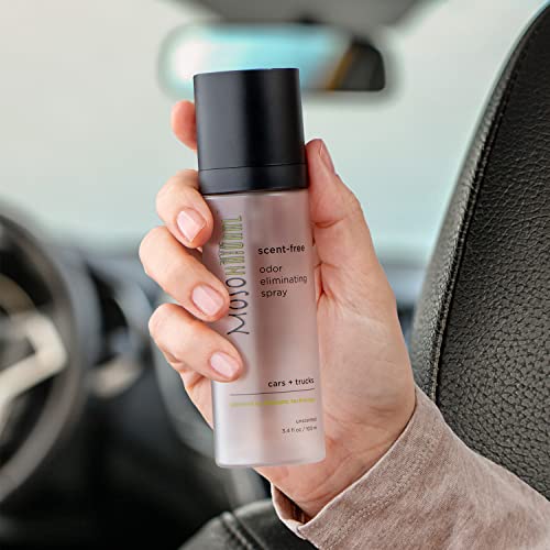 Image of Moso Natural Scent-Free Odor Elimination Clean Car Set (1) Scent-Free Car Air Freshener Spray & (1) Moso Bamboo Charcoal Air Purifying Bag