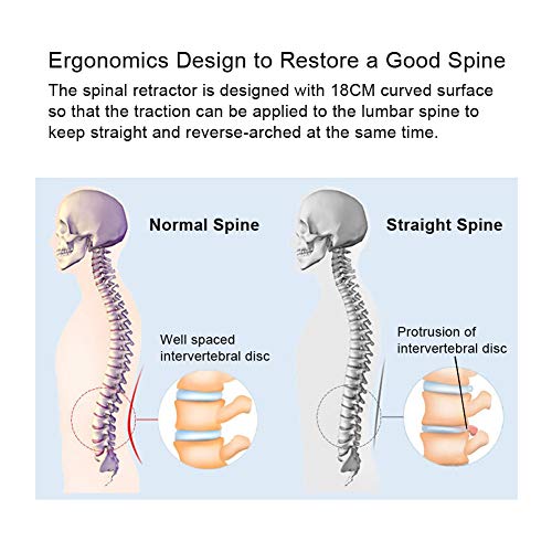 Cintura di supporto per la vita per donne e