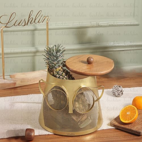 Image of LUSHLIN Metal Fruit Basket with Lid for Kitchen & Dining Table | Insect Proof Mesh Fruit & Vegetable Basket | Countertop Storage Basket for Fruits, Vegetables & Snacks (Gold, 22.5 cm)