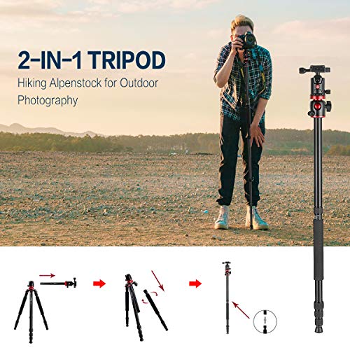 ZOMEi 75'' Tripod,Camera Tripod for DSLR,Ball Head Tripod Professional Tripods 4 Section Horizontal Tripod with 360 Degree Ball Head Plate for Canon DSLR DV Scope Camcorder and Projector