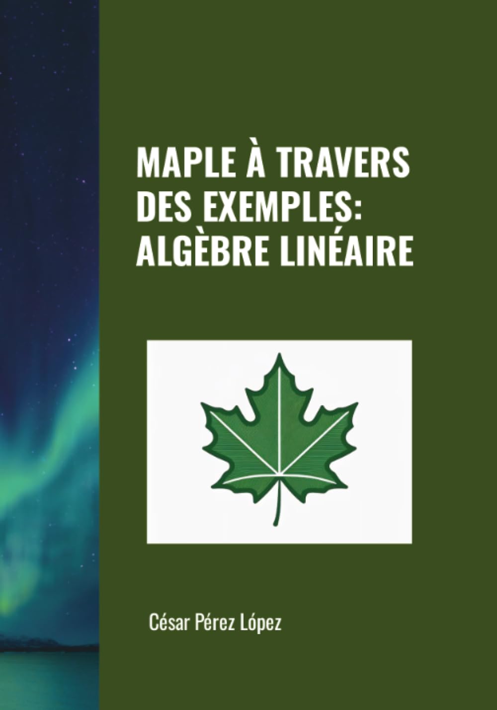MAPLE À TRAVERS DES EXEMPLES: ALGÈBRE LINÉAIRE