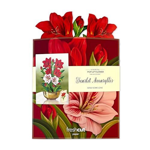 image for Freshcut Paper Pop Up Cards, Scarlet Amaryllis, 16 Inch Life Sized For