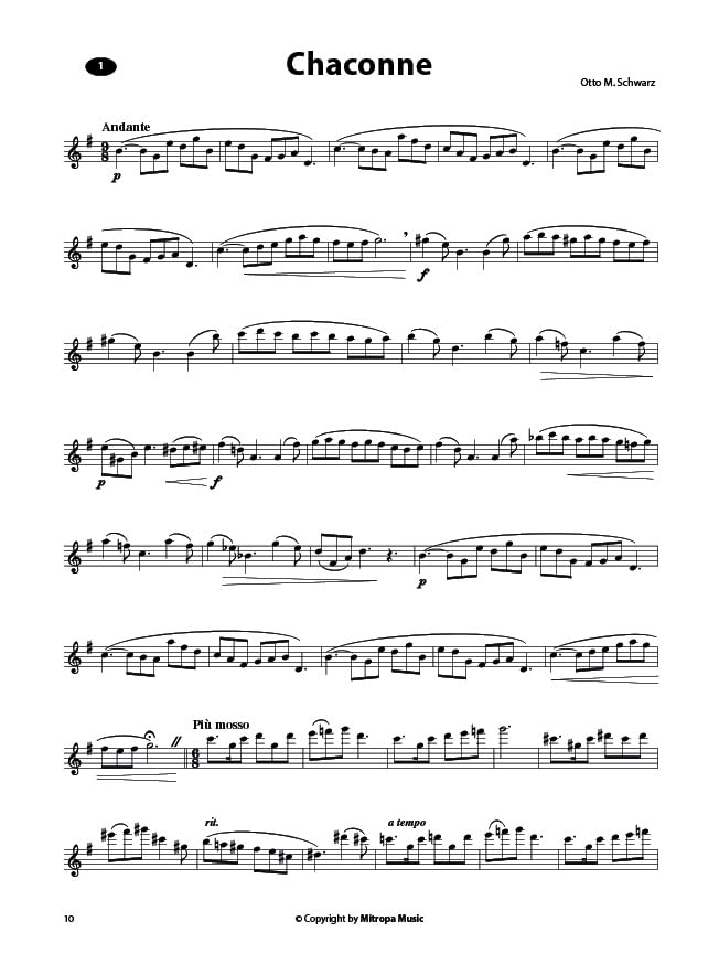 NEW CONCERT STUDIES FOR FLUTE FLUTE TRAVERSIERE +CD image 3