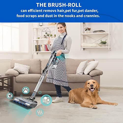 Leemone Kucbraly IZ462H Filter Replacements for Shark IZ462H IZ483H IZ482H IZ440H Vertex Cordless Stick Vacuum Cleaner, 2 Filters, 4 Foam & Felt Filters, 1 Brushroll, Part: XHF161H & 617FJ140, 12 Pack by Leemone - Image 5