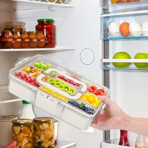 Image of SPIREX Reusable 9-Grid Food Storage Box |Spice & Snack Divider Tray| Multi-Compartment Bento Organizer Fruit Spices Candy Veggie Nuts & Snacks with lid Pack of 1