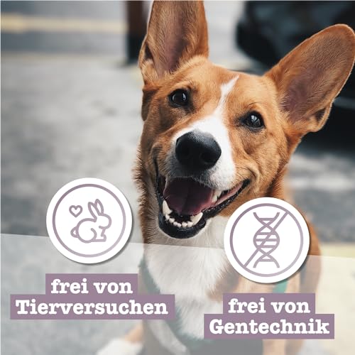 Chewies Hundezigarre Känguru - Protein Kaustangen für Ihren Hund getreidefrei & zuckerfreie Hunde-Leckerli auch für Welpen & Senior Hunde geeignet, 10er Pack (je 75g)