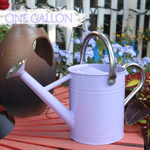 yourjoy Metal Watering Can, One Gallon Watering Cans Stainless Steel for Outdoor Indoor Garden Plants Watering (Stainless Steel Handle Purple) - Thumbnail 2