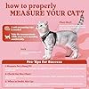 rabbitgoo Cat Harness and Leash for Walking, Escape Proof Soft Adjustable Vest Harnesses for Cats, Easy Control Breathable Reflective Strips Jacket, Black, XS #1