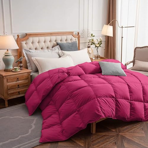 Image of PURE ECO 300 GSM Comforter for Single Size - Luxury & Soft Microfiber 300 GSM Comforter for Winter - Duvet /Blanket Single Size (60 inchX90 inch) - Hot Pink Color