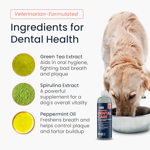 Image of Vets Preferred Dog Breath Freshener & Water Additive for Dental Care - Fights Bad Breath, Removes Tartar & Plaque - Dog Mouthwash for Healthy Teeth & Gums, Gingivitis Support - Mint Flavor (Pack of 3)