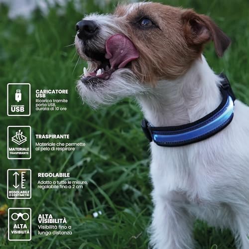PETTY Adjustable LED Light-Up Dog Collar, USB Rechargeable Breathable Collar, Adjustable Closure - Image 2