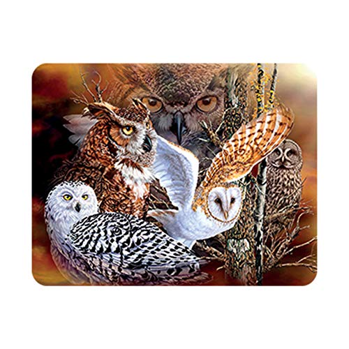 Deluxebase Calamita 3D LiveLife - Boschi di Gufi