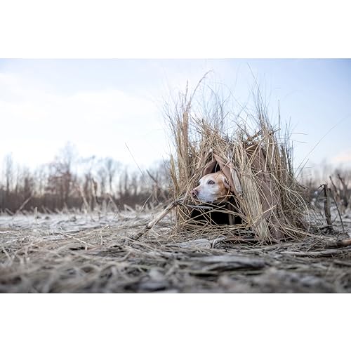 Higdon Outdoors Quick Draw Dog Blind (Dirt) | Perfect Transportable Dog Blind | Weather Proof Blind with Pin Free Rapid Deployment.