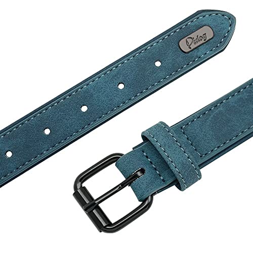Didog Leather Custom Dog Collar,Engraved Dog Collars With Personalized Nameplate,Padded Custom Collar For Small Medium Large Dogs,Blue L Size #TOP4