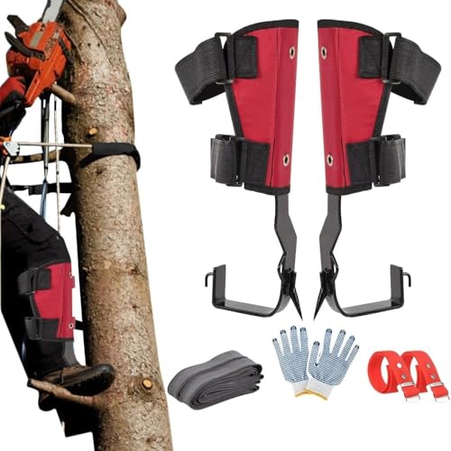 Vilom xYf|ؓoXpCN ƁEʎnÊɍœK lԍHwfUCŉK \Xgbv ~ߍ\ňSo yʌgь^vdl (T2)