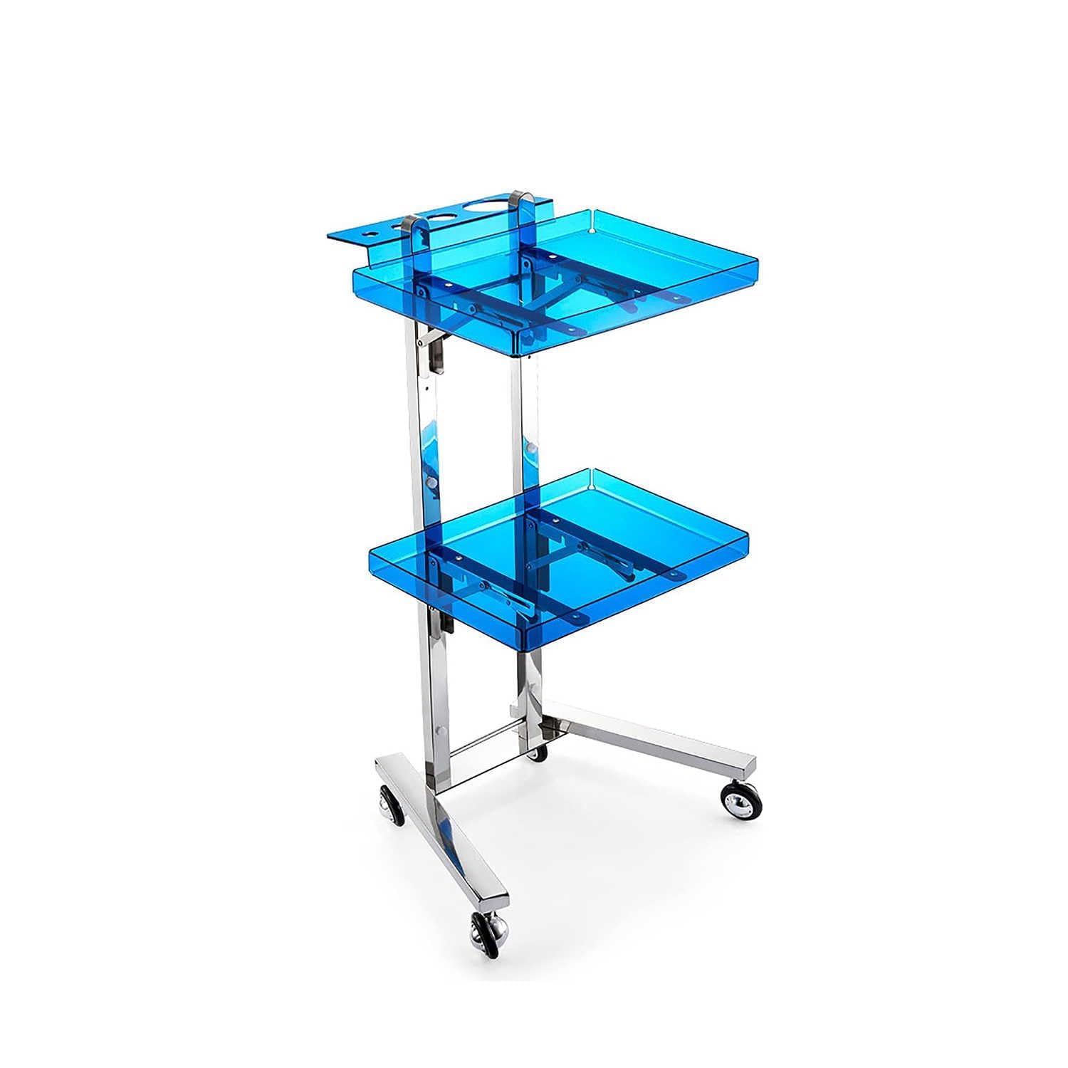 LJYKBFL 2-Tier Rolling Cart with Wheels, Stainless Steel Utility Trolley for Kitchen, Bedroom, Tattoo Shops Mobile Storage Tray Cart on Casters