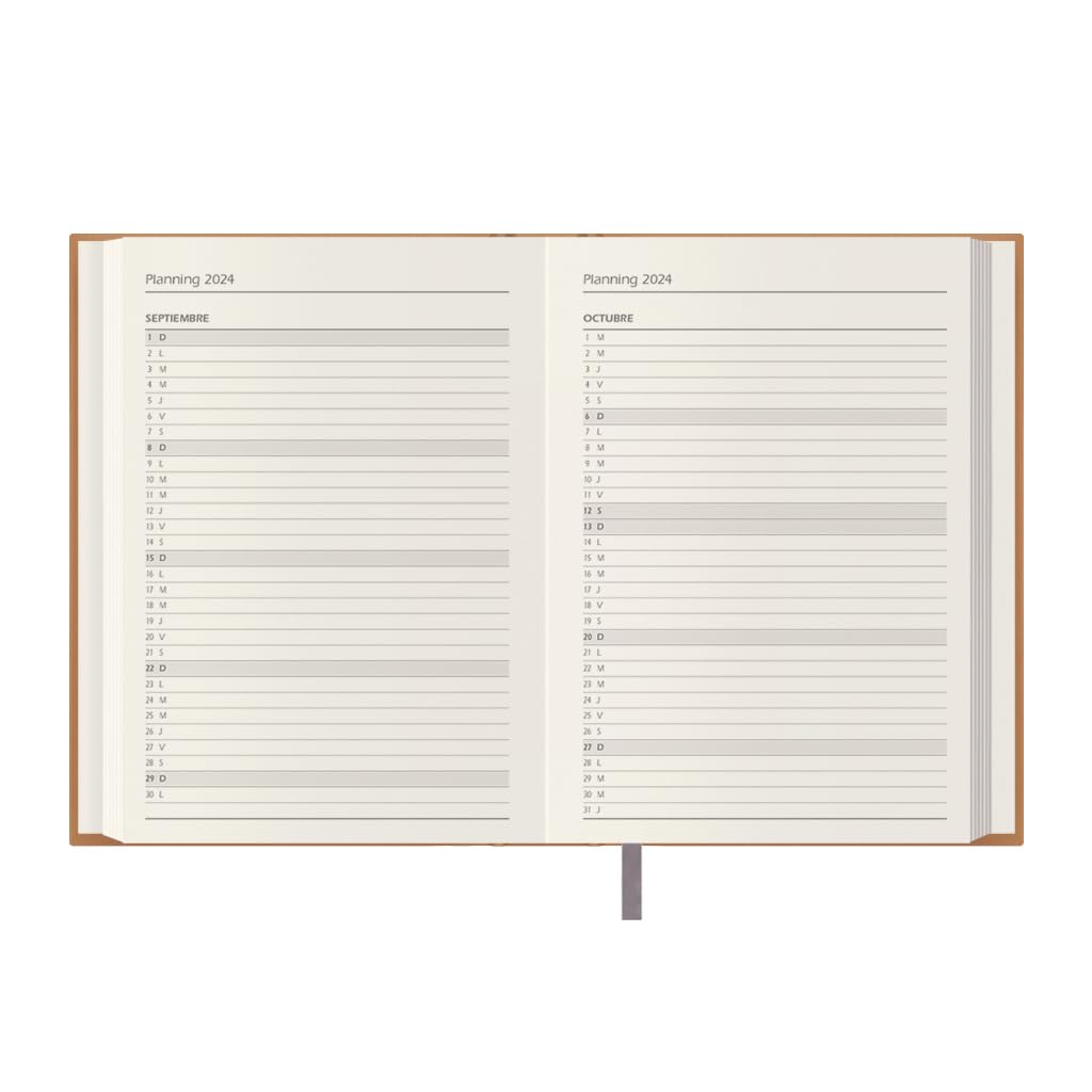 Agenda Anual Dohe - Agenda 2024 - Página De Día - Tamaño Mediano: 5.5 X 7.9 In - 336 Páginas - Encuadernación Cosida - Tapa Dura - Verde - Modelo Capri Agenda Amazon