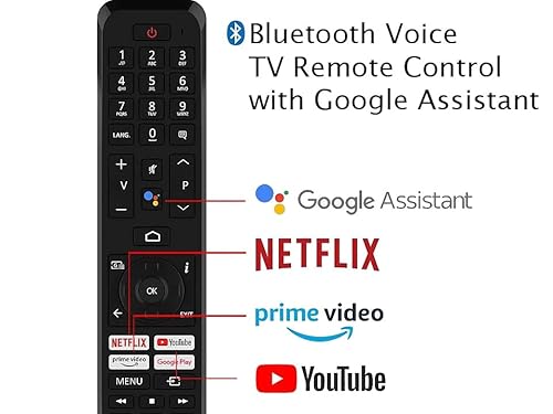 Originale RC45160 sostituisce RC43160 Bluetooth