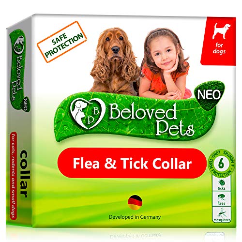 Flea and Tick Collar for Dogs and Cats - Natural Flea Treatment for Pets Kittens Puppies - Flea Prevention Up to 6 Months -Non-Allergic Repellent - Immediate Flea Control