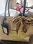 Customer image 1