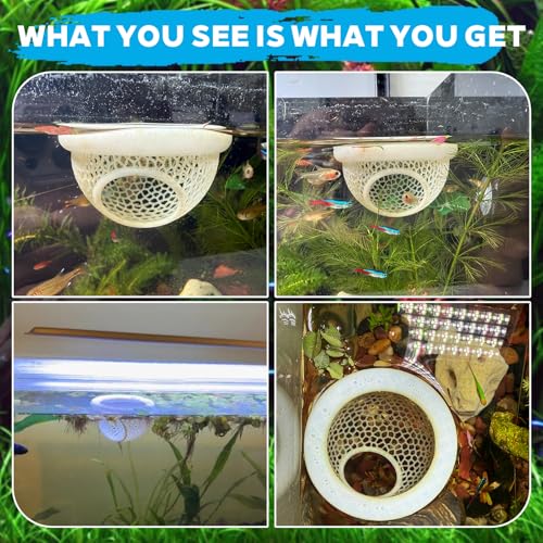 Image of 3D-Printed Floating Betta Hide & Shammock - Aquarium Cave, Feeding Ring, Resting Spot for Bettas, Shrimp, Corydoras | Eco-Safe PLA, Stress-Free Fish Tank Decor, Nano Tank Accessories