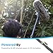 BOYA XLR Microphone BY-BM6060 Super-Cardioid Shotgun Condenser Microphone with 24 48V Phantom Power for Camera Film Interview ENG/EFP Outdoor Recording