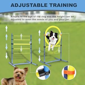 Dog Agility Training Equipment Set, Outdoor&Indoor, Deluxe Obstacle Course Starter Kit w/Tunnel, Adjustable Hurdle, Jumping Ring, 6 Weave Poles, Pause Box, Carry Bag Dog Agility Training Equipment Set, Outdoor&Indoor, Deluxe Obstacle Course Starter Kit w/Tunnel, Adjustable Hurdle, Jumping Ring, 6 Weave Poles, Pause Box, Carry Bag