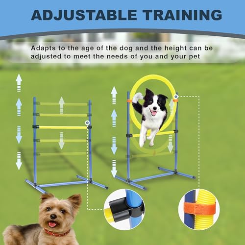 Dog Agility Training Equipment Set, Outdoor&Indoor, Deluxe Obstacle Course Starter Kit w/Tunnel, Adjustable Hurdle, Jumping Ring, 6 Weave Poles, Pause Box, Carry Bag Dog Agility Training Equipment Set, Outdoor&Indoor, Deluxe Obstacle Course Starter Kit w/Tunnel, Adjustable Hurdle, Jumping Ring, 6 Weave Poles, Pause Box, Carry Bag