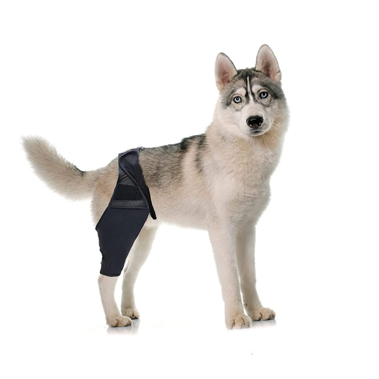 Abaodam 5 Pz per Il Naso del Cane Bende per Cani per Ferite Maniche delle Gambe Articolazione del Cane Zampa Posteriore del Tutore per Cani Manica al Ginocchio Il Cane