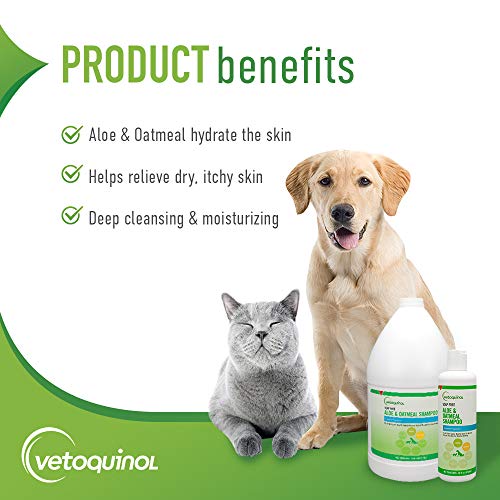Vetoquinol Aloe & Oatmeal Shampoo — Gentle, Moisturizing Formula With Coconut Scent For Dogs & Cats, 16Oz #TOP1