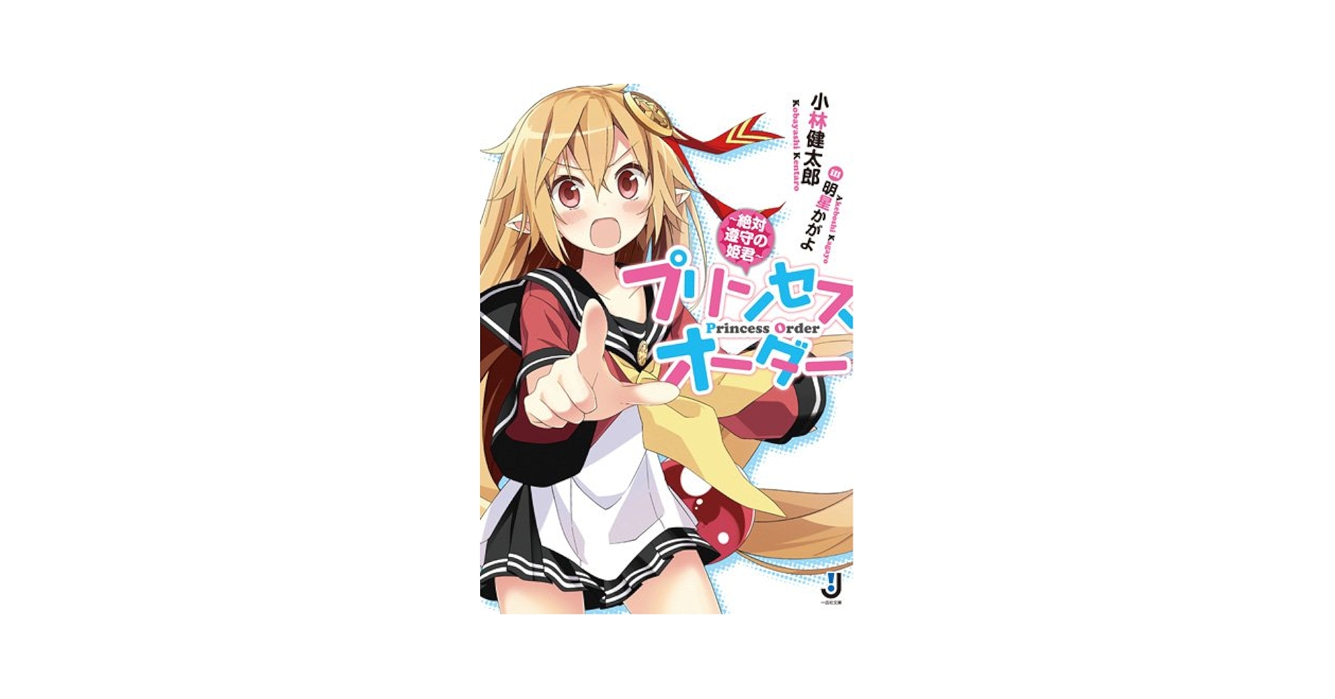 ちこりん様♪オーダーページ ちこりん様オーダーページ