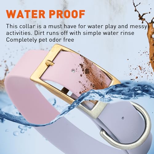 Image of Viper Biothane Heavy Duty Waterproof Dog Collar Strong Coated Nylon Webbing w /Solid Brass Hardware Odor-Proof Easy to Clean High Performance Fits Small Medium or Large Dogs, Pastel Purple