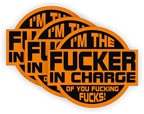 Fker In Charge of You Hard Hat Sticker | Motorcycle Helmet Decal Label Lunch Tool Box Rude Funny Gag