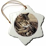 3dRose orn_94870_1 Utah Capitol Reef Sleeping Tabby Cat Ric Ergenbright Snowflake Decorative Hanging...